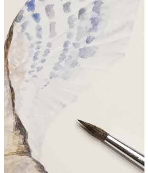 Ateliers créatifs, peinture, aquarelle